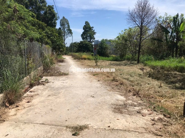 Bán đất mặt tiền đường nhựa Nguyễn Thế Toàn – Gia Kiệm, Thống Nhất, Đồng Nai – Diện tích 161m², giá chỉ 1 tỷ 2 trọn sổ